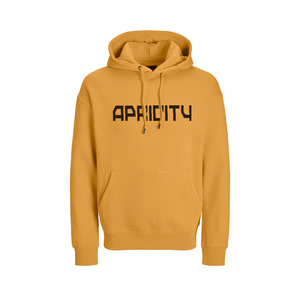 Sweat-shirt unisexe d'hiver personnalisé avec logo, en molleton de coton épais, style streetwear, vente en gros, marque privée, OEM - Product Image 5