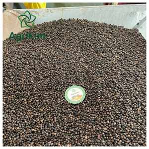 Poivre noir du Vietnam séché certifié ASTA, marque Agrikim, poivre noir en poudre de haute qualité, meilleures épices, Binh Phuoc, prix avantageux - Product Image 1