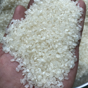 Basmati seco de arroz japonés engrasado blanco de grano corto vietnamita para Sushi textura dura WS + 84 858 080 598 - Product Image 5