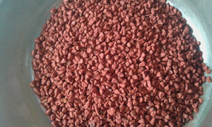 Graines d'annatto séchées du Vietnam, colorant rouge naturel, qualité supérieure, exportation - Product Image 4