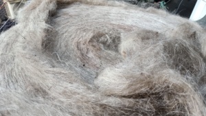 Custom Made Raw Natural Pat <b>Jute</b> <b>Fiber</b> 100% <b>Jute</b> Eco-Friendly & Breathable for Textile Spinners and Weavers for Resale - Product Image 5