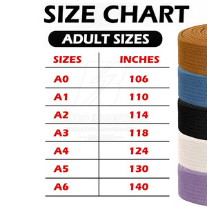 Cinturón de Karate de Artes Marciales al Mejor Precio, Hecho en Pakistán, Cinturón de Karate de Artes Marciales de Alta Calidad - Product Image 4