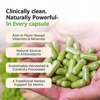 OEM/ODM 100% Moringa Murni 60 Kapsul Suplemen Herbal Antioksidan Bersertifikat untuk Perlindungan Usus bagi Dewasa