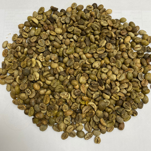 Café Vert Robusta PHALCO de Haute Qualité Grade 1 Tamis 16/18 Vietnam Meilleur Prix Prêt à l'Exportation en Sac de Jute - Product Image 4
