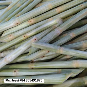 อ้อยแช่แข็งสำหรับเครื่องดื่มและของหวาน | หวานปอกเปลือกและบรรจุสูญญากาศ/นางสาวเจสซี่ - Product Image 1