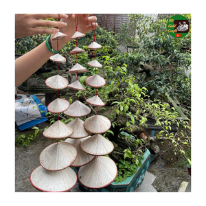 Mini Conical Hat Vietnamese Style for DIY Craft Handmade Decoration, Cute Mini Vietnamese Conical Hat Handmade for Souvenir - Product Image 1