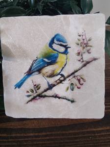 Sous-verres en marbre bleu britannique, décoration rustique pour la maison, oiseau de jardin - Product Image 3