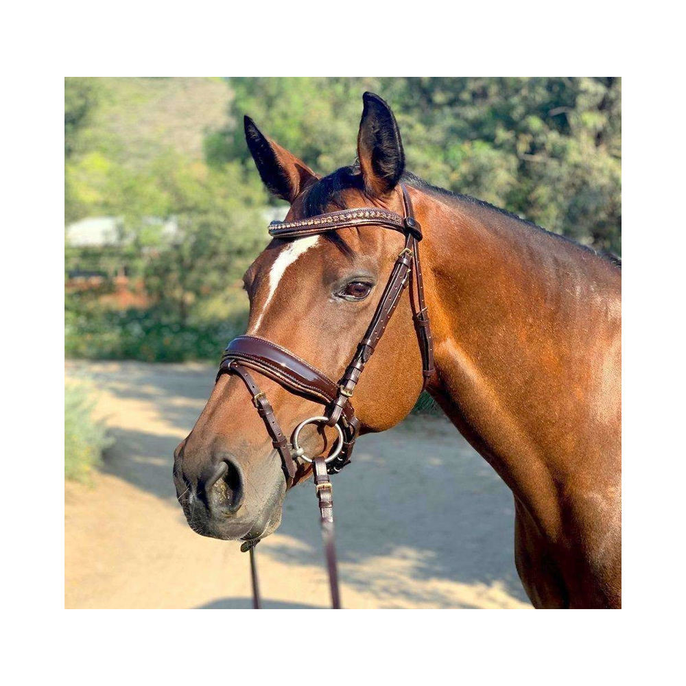 สีน้ำตาล