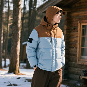 AQTQ vente en gros unisexe doudoune Vintage Streetwear lourd hiver à capuche coupe-vent veste couleur changeante ODM approvisionnement - Product Image 3