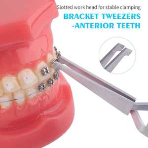 Pinzas para Brackets de Ortodoncia con Puntas Dentadas, Instrumento Dental Manual de Acero Inoxidable Reutilizable para Colocación y Extracción de Brackets - Product Image 2