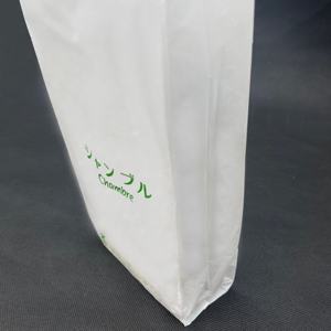 ODM Viet Nam Fabricant Hot Deal Vente en gros Logo imprimé personnalisé Conception LDPE/HDPE Poignée Sac en plastique Sac de transport avec poignée découpée - Product Image 2