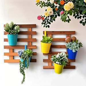 Lot de 2 supports muraux en bois légers et écologiques pour plantes succulentes et plantes aériennes - Carbonisé, à suspendre, pour la maison et le jardin - Product Image 1