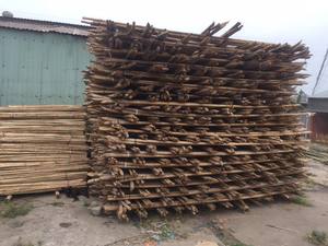 Postes de bambú gruesos fuertes para soporte de árboles tratados duraderos - Product Image 6