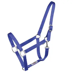 Nylon Horse Halter Arabian Colorful PVC Horse Halter for Horse Racing