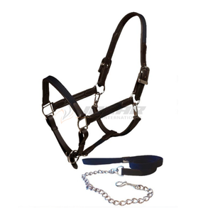 Combinación de cabestro y brida de caballo de cuero inspirado en la silla de montar inglesa con cuero acolchado suave y herrajes resistentes al óxido para un largo plazo - Product Image 1