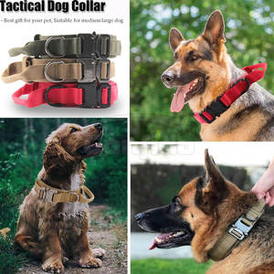 Collar Reflectante para Mascotas con Correa Ajustable y Hebilla Segura, para Paseos Nocturnos, Entrenamiento y Uso Diario, Accesorios de Seguridad para Mascotas - Product Image 5