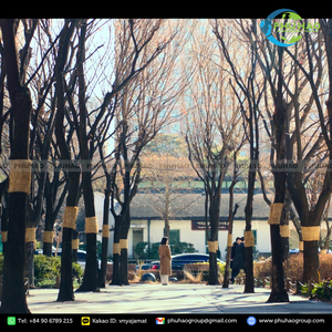 Alfombra de Fibra de Junco Hecha a Mano para Uso en Exteriores y para Mejorar el Aspecto Artesanal en Aplicaciones de Diseño de Paisajes - Product Image 6