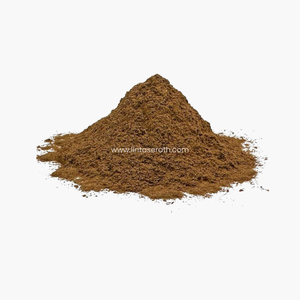 Bois d'agar 100% sec en poudre pour la fabrication d'huile d'oud, bâtonnets d'encens, spa aromatique, biologique, Lintas Era Thaïlande, toutes saisons - Product Image 3