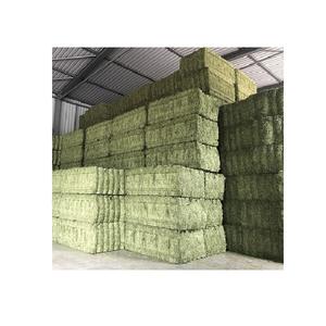 Pure Alfalfa Hooi/Hooi - Product Image 1