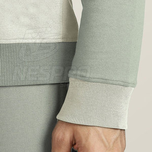 Venta caliente de calidad superior de los hombres de invierno Casual Sólido Ecológico Regular Fit 100% Trajes de sudor de algodón - Product Image 5