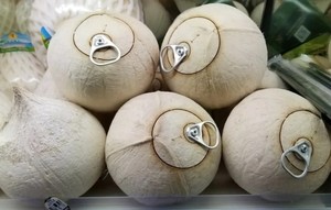 NOIX DE COCO QUI VENDENT, GOÛT TROPICAL, APPEL MONDIAL - Product Image 5