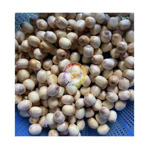 Usine directe en gros Premium graine de Lotus noir Vietnam pour la plantation de manger un goût naturel Texture douce produit agricole - Product Image 6