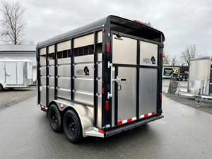 Maverick Enclosed Horse <b>Trailer</b> Dual Axle Black With Silver Panels Side Door Access - Product Image 5