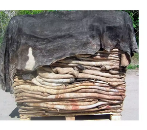 Peaux de vache salées humides de haute qualité Prix raisonnable Peaux de vache salées humides Peau de vache salée sèche/humide - Product Image 2