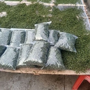 ใบฝรั่งอบแห้งจากเวียดนามสำหรับชา - Product Image 5