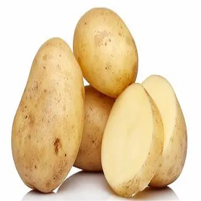 Bulk Fresh Potato Importers/Farm Fresh Potato for sale