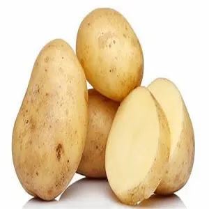 Bulk Fresh Potato Importers/Farm Fresh Potato for sale