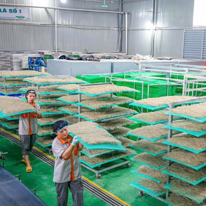 Vietnamese Arrowroot Dried Big Thread Noodles 100% Pure Arrowroot <b>Starch</b> Factory Supply - Product Image 4