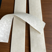 En stock – Papier Nomex T410 Aramid original, classe H, 35 kV, ignifuge, matériau isolant de qualité industrielle, fourni directement par l'usine