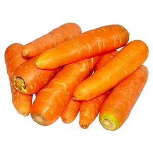 优质进口新鲜胡萝卜新鲜100% 有机胡萝卜