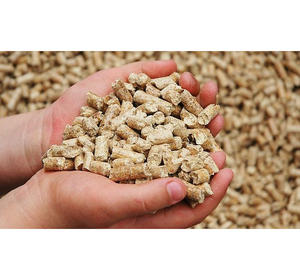 Granulés de bois en vrac, mélange de bois tendres et durs, diamètre 6 mm, pour des caractéristiques de combustion équilibrées et un faible teneur en cendres - Product Image 6