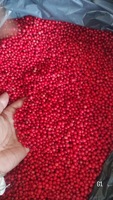 VANILLE HARVEST Madagascar Roze Peperkorrels (Baies Roses) Premium Kwaliteit Wilde Oogst Vacuüm Verpakt 99% Zuiverheid Gedroogde Bessen 24