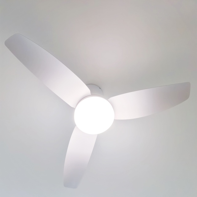 Hot Sale 40 Inch CE SAA Certificated Indoor Living Room Bedroom Remote Control BLDC Ceiling Fan