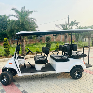 Buggy de golf para 6 pasajeros - Product Image 6