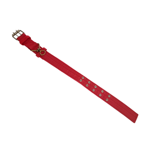 Collar de Adiestramiento para Perros de Nailon Ajustable de Alta Calidad y Gran Resistencia con Hebilla de Metal y Anillo en O, Superventas 2026 - Product Image 2