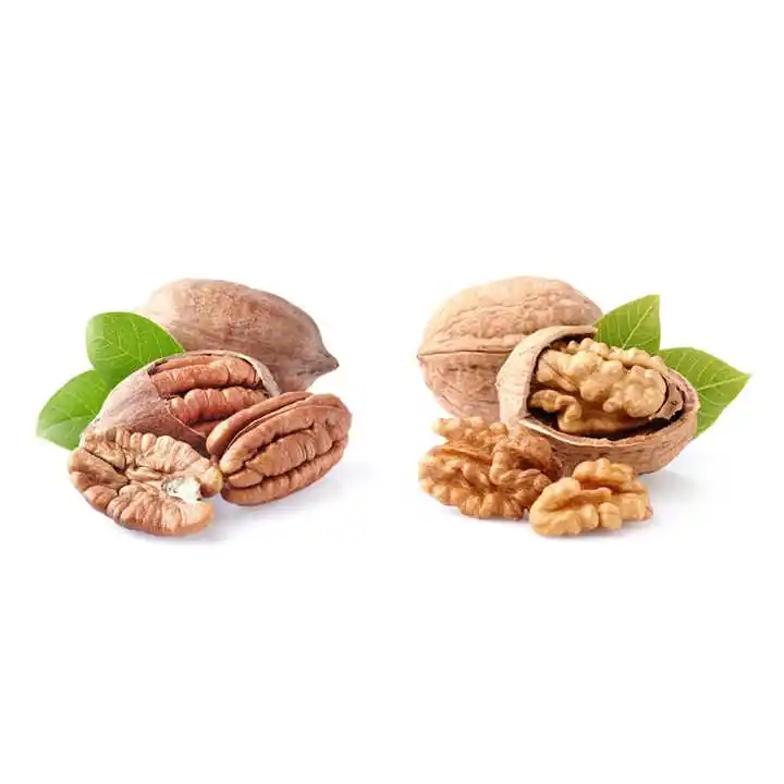 Kacang pecan alami kacang kenari harga ekspor kenari