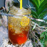 BASILLIFE BOISSON/SUPERALIMENT INFUSION/VÉGÉTAL/SOUTIEN DÉTOX - Product Image 5