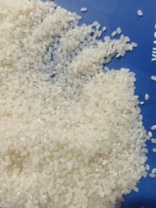 Riz aromatique japonica emballé en vrac, style court pour sushi WA 84 985971368 - Product Image 2