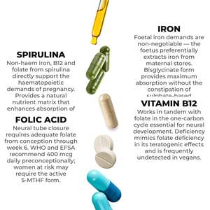 RedMoringa OEM, Etiqueta Privada, 230 Tabletas de Ácido Fólico y Espirulina, Suplemento Dietético, Probióticos Yoni Hechos en Italia - Product Image 3