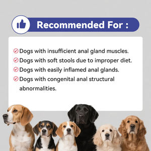 High Protein Soft Pets Snacks <b>for</b> <b>Dogs</b> Anal Gland <b>Chew</b> Treats with Pumpkin Digestive Enzymes Pet Health Care Supplements - Product Image 6