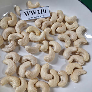 Noix de cajou Kaju WW210 Noix sèches Service personnalisé disponible Noix et amandes SANTIGO - Product Image 1