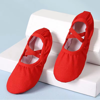 Sepatu Balet Profesional BAIFA, Kulit Lembut, Sol Terpisah, Nyaman dan Dapat Diulur, untuk Anak-anak dan Dewasa, Lapisan Kanvas, Warna Dapat Disesuaikan