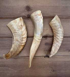 Decoración Decorativa Ecológica de Cuerno de Carnero Tallado a Mano de Tamaño Completo, Material Orgánico, para Amantes de los Vikingos y Coleccionistas Tribales - Product Image 4