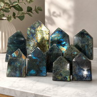 Tour de Labradorite à face large, pointe de cristal naturel polie, pour la décoration intérieure, la collection et les cadeaux