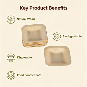 Ciotoline Ecologiche Monouso in Legno <span class=keywords><strong>per</strong></span> Salse, Piccole <span class=keywords><strong>Ciotole</strong></span> in Legno <span class=keywords><strong>per</strong></span> Salsa di Soia, Ketchup <span class=keywords><strong>e</strong></span> Antipasti - Product Image 2