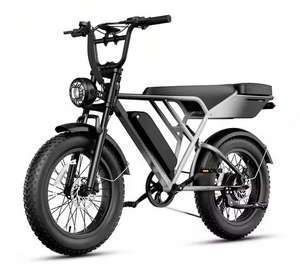 RetroVolt Pro <b>Electric</b> <b>Bike</b> <b>Adults</b> [2000W Motor 38 MPH 90-Miles] 12V 70Ah Lithium Battery Disc Brake 12-Speed Aluminum 24-Inch - Product Image 1